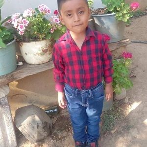 Meet your Posher, Norma